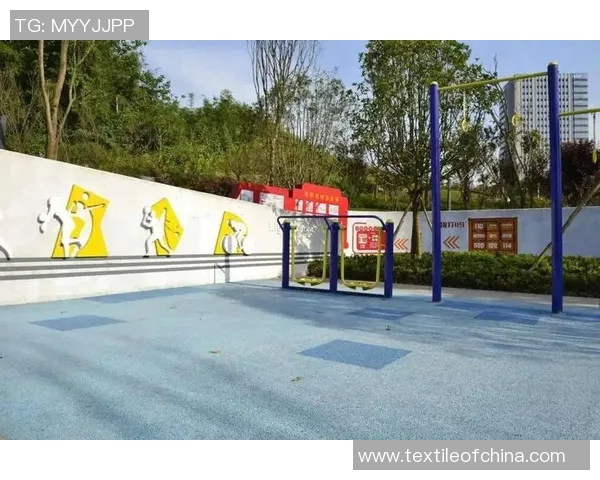 球场无障碍设施改造进展情况及未来规划分析报告