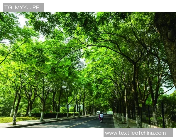 埃尔切的绿色条纹探秘自然之美与人文交融的奇妙旅程 埃尔切的绿色条纹探秘自然之美与人文交融的奇妙旅程