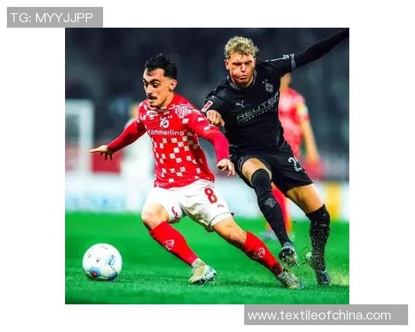 美因茨主场继续连胜,德甲联赛保持不败势头 美因茨主场继续连胜,德甲联赛保持不败势头